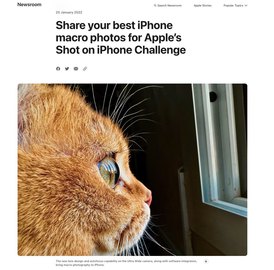 Apple Marketing Campaign Shot on iPhone