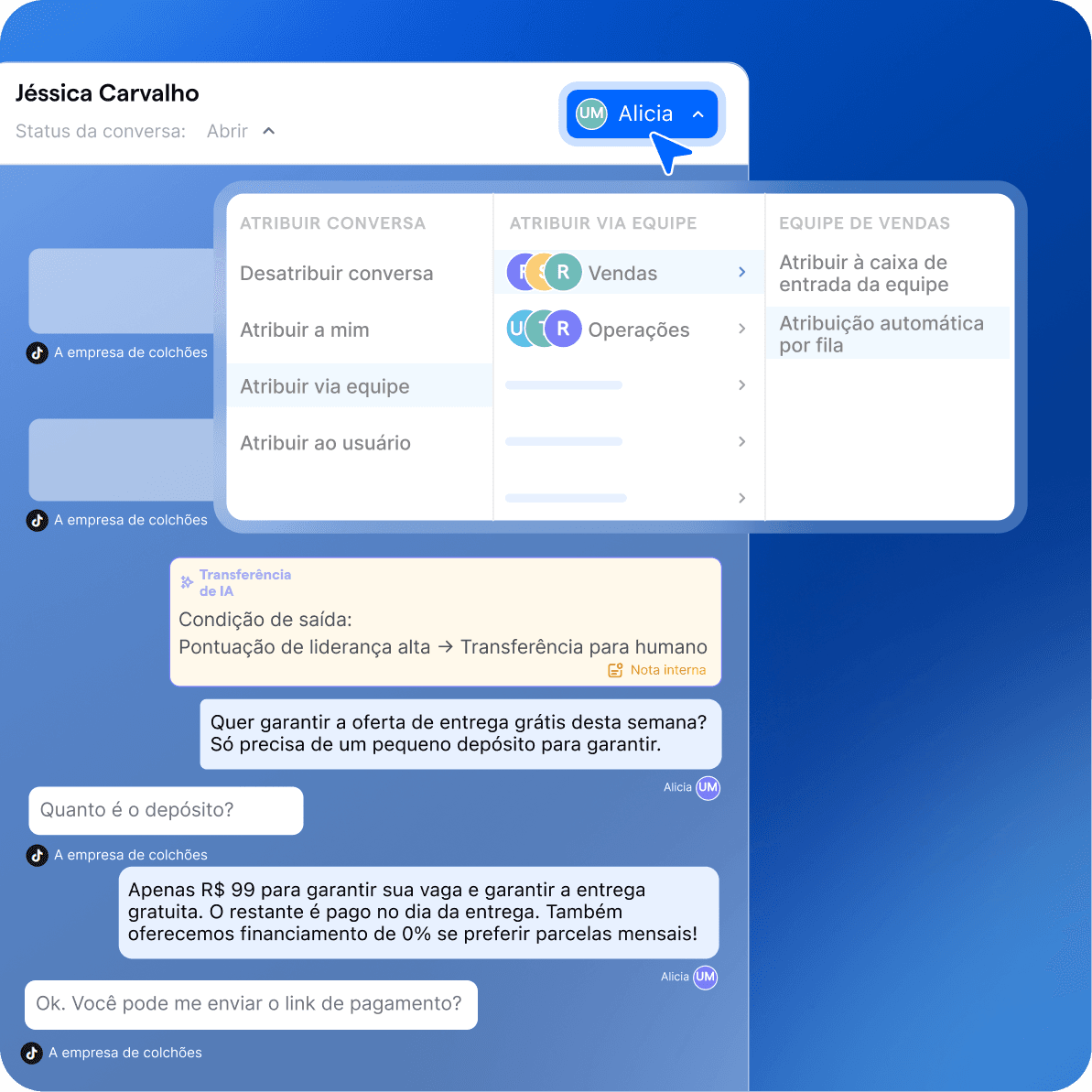 pt br tiktok ads equipes de vendas