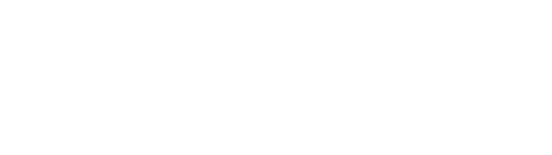 canvas-logo-white