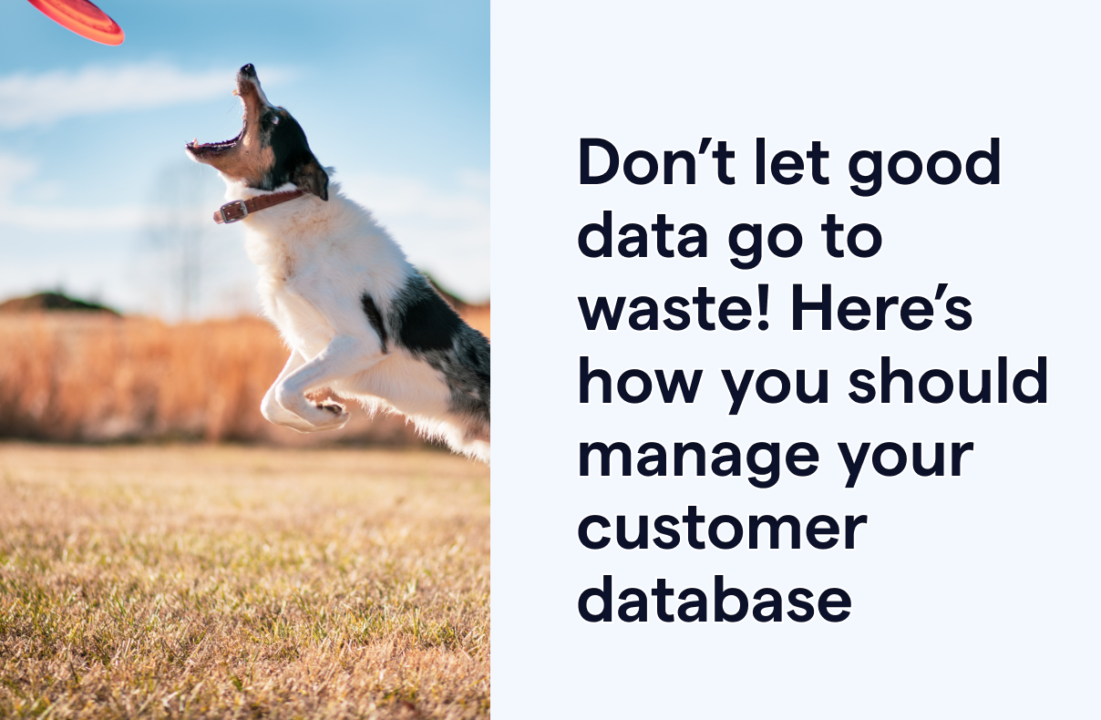 Don’t let good data go to waste! Here’s how you should manage your customer database