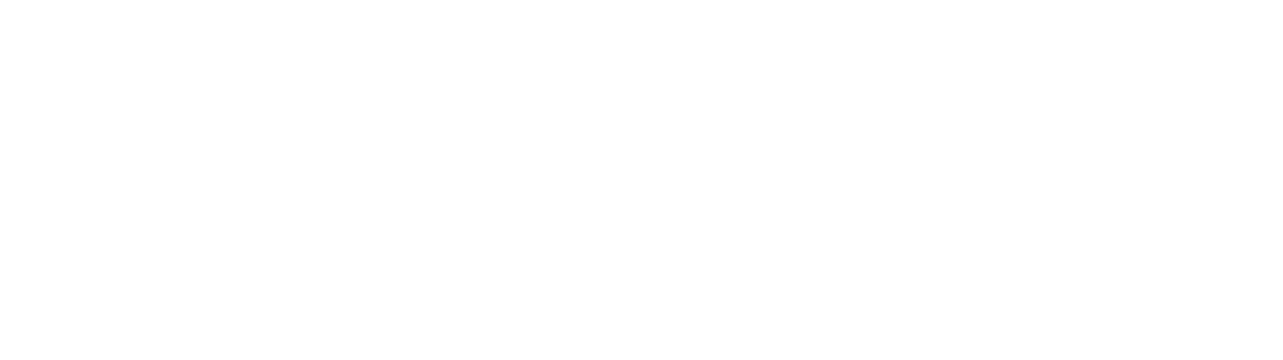 TKD Lingerie logo