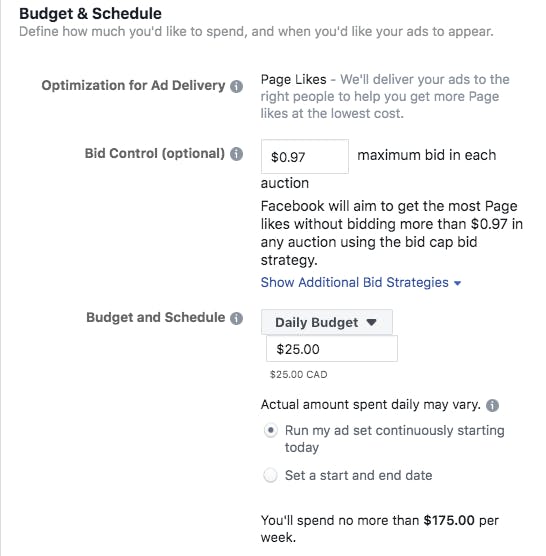 Budget and schedule