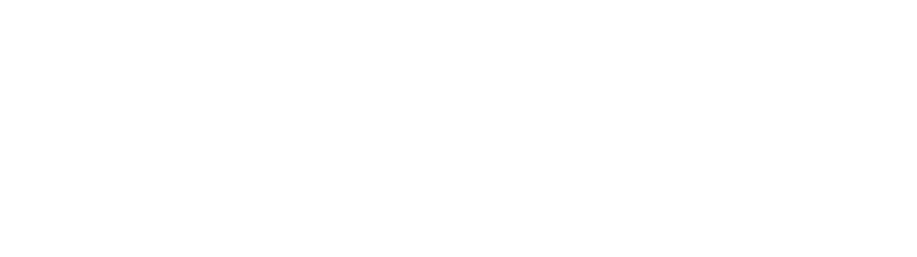 OTO logo _  white